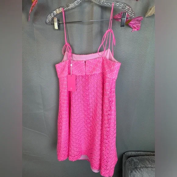 Amanda Uprichard Kellyann Empire Lace Mini Dress- Sz Small - Picture 9 of 9